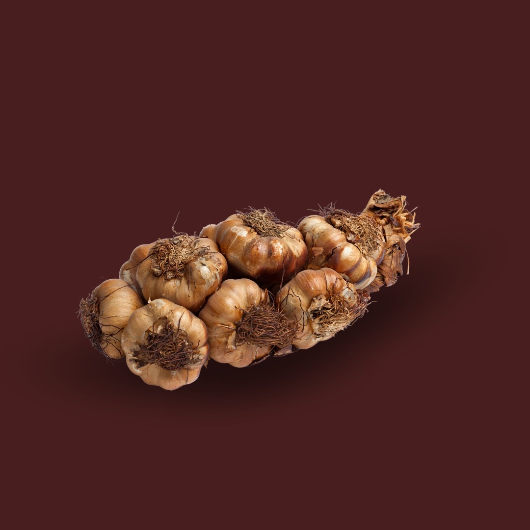 Knoblauch geräuchert 1 KG- Zopf/ Strang – Bild 2