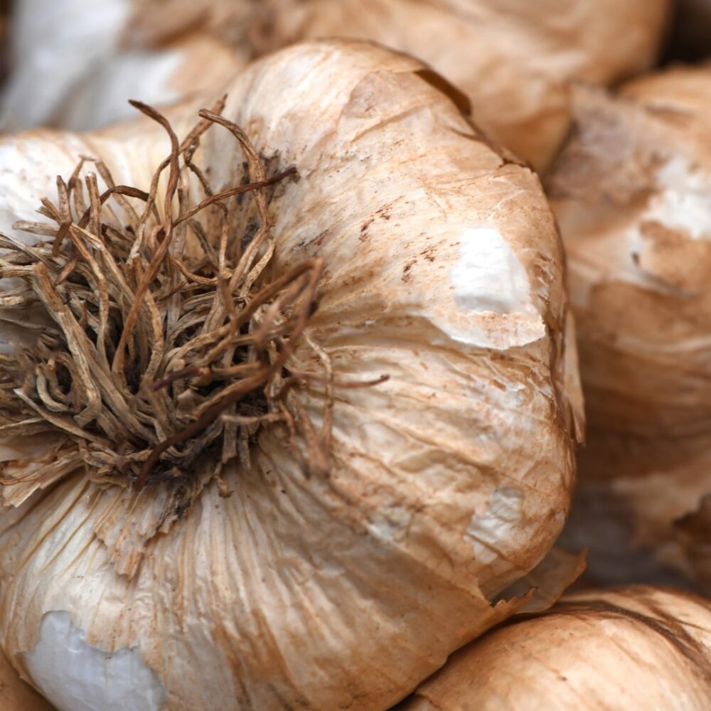 Knoblauch geräuchert 1 KG- Zopf/ Strang